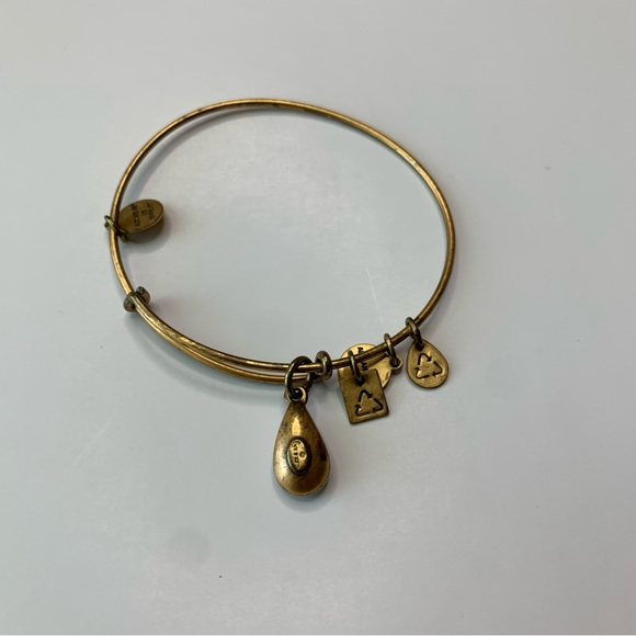 Alex and Ani Blue Charm Bracelet - Picture 2 of 2